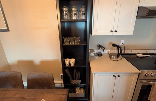 Hillside - Quadra - Downtown Blanshard Condo | New, fully renovated, modern condo in the vibrant Quadra Village neighbourhood