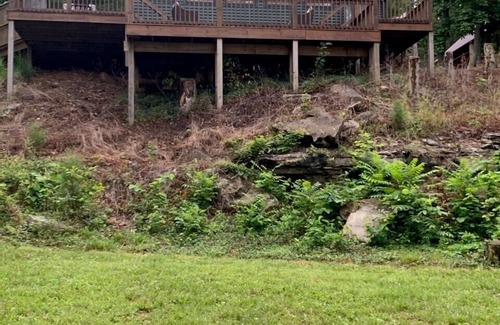 Falls of Rough House | New To Market! Newly-Renovated 5 Bedroom/3 Bath In A DYNAMITE Location!