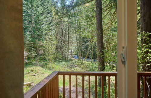 Rhododendron Cabin | NEW - Two Cabins One Epic Getaway! Hot Tub, 9 beds/Fast Wifi/AC/2 Kitchens