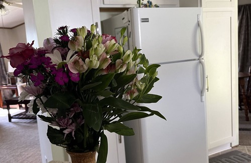 Hernando House | NEW! ZEN! RELAX! KAYAKS, FISHING POLES, DOCK! NEAR BIKE TRAIL, SPRINGS, & BEACH!