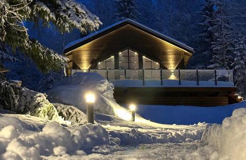 Jarvso House | Newly built cabin with sauna, fireplace and amazing view