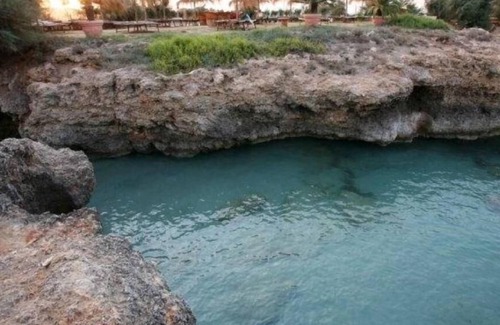 Specchiolla House | Newly built house for rent in Apulia, 50mt from the sea. See now!
