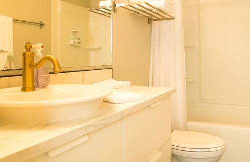 Downtown Omaha Apartment | Newly Renovated Downtown Apartment