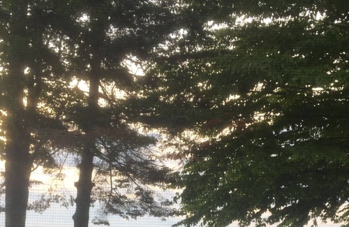 Cadillac Cottage | Newly renovated Lake-Front Sunrise Chalet!