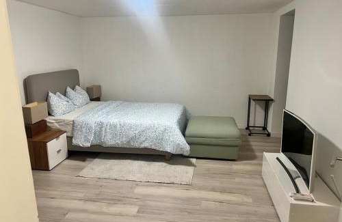 Huttwil Apartment | Newly Renovated Stylish & Spacious Studio
