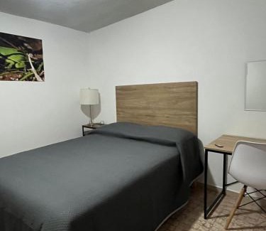 Aguascalientes Apartment | nice comfortable house an excellent location,