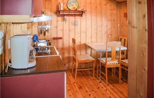 Vinje House | Nice Home In Rauland With Kitchen