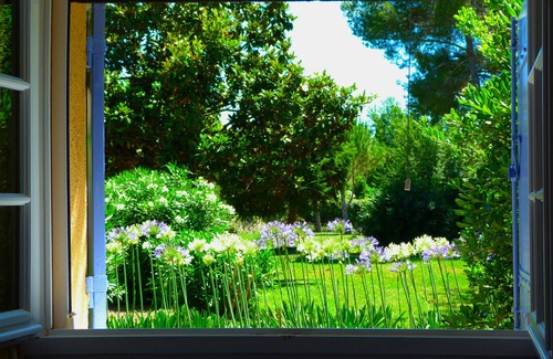 Tarascon Cottage | Nice little house with park and large pool - Fontvieille center 1km - Provence