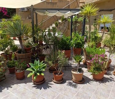 Cuevas Del Almanzora House | Nick's Cave, Bed and Breakfast with a difference