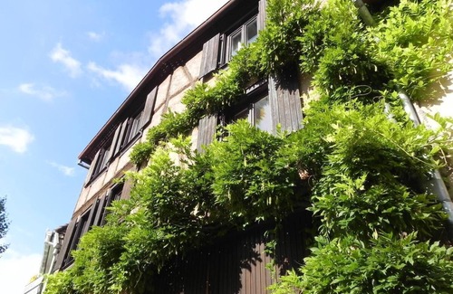Kintzheim Apartment | Nid Douillet au Cœur du Vignoble Alsacien