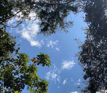 Copacabana Ski Chalet | nido de montaña