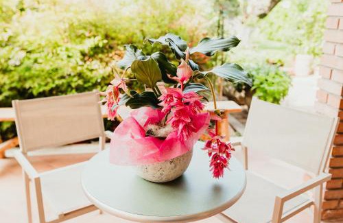 Sud-Ovest House | NIDO DEL GELSO