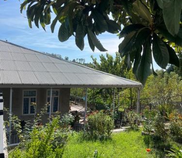 Tsqaltubo House | Nika house