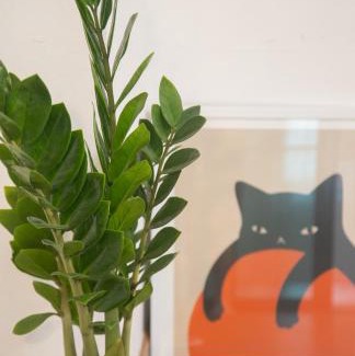 Nimman Apartment | Nimman fun street in Chiang Mai