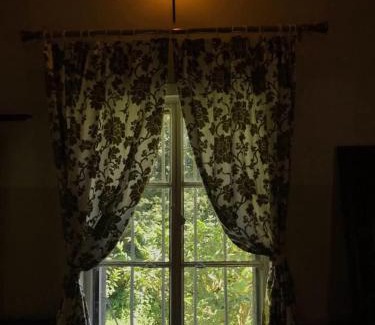 Jhargram Cabin | Niribili Homestay