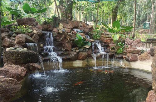 Maina Resort | Nirvana Hill Resort