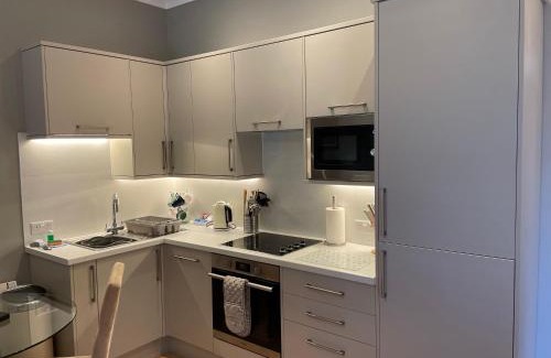 Southampton Apartment | No 10 serviced apartment - Danes 2 Bedroom