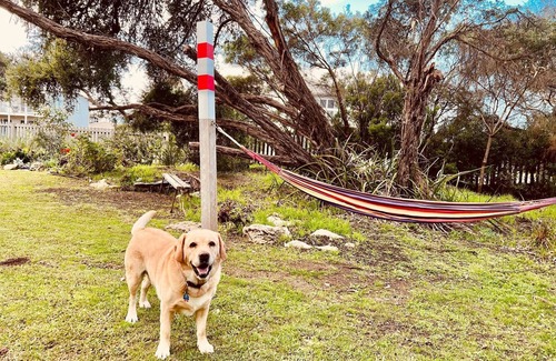 Waterhouse House | No.34 - Pet Friendly outside