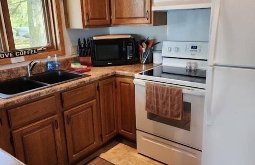Wautoma Cabin | No steps to the lake/sandy beach/hot tub/fireplace/amazing sunsets
