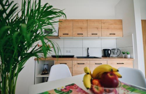 gmina Przeciszow House | Noclegi u Szymonków Zator Przeciszów