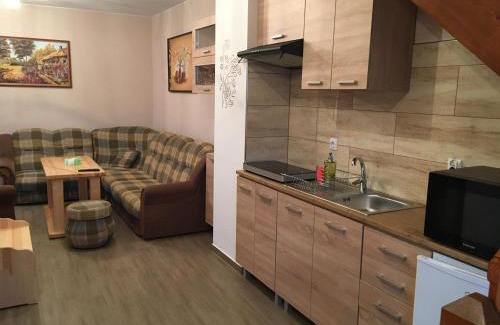 Niedzica Apartment | Nocowanie w młynie