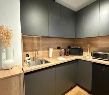 Timisoara Apartment | Noir&Honey, 10min walk to City Center