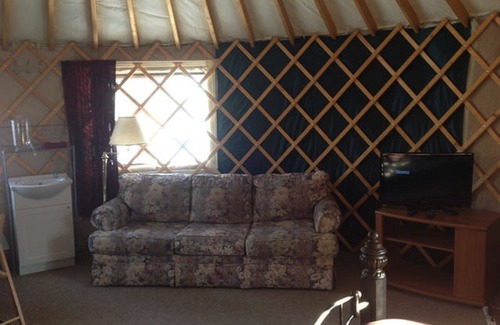 Talkeetna Apartment | Nomad Yurt, #4, Sauna, Family Gatherings, fire pits, walking distance to town