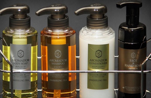 Okawa Hotel | Nonsmoking Deluxe Twin 2 people Breakfast included buffet style/Okawa Fukuoka