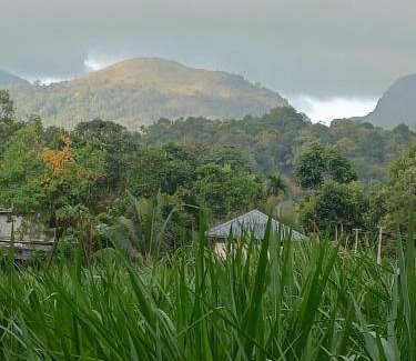 Vythiri Villa | Nostalgia Homestay