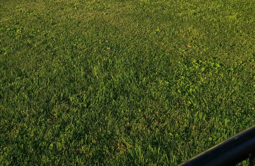 Omro Other | Not far from Oshkosh Wi - home of EAA