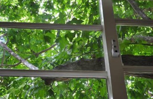 Somers Cottage | nPet friendly gem just steps from the beach