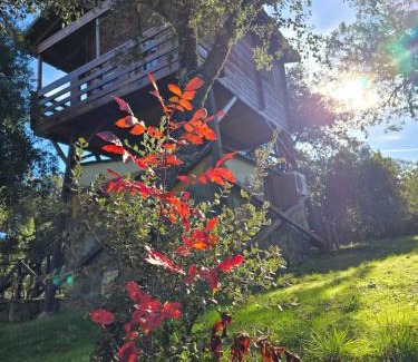 Retuerta del Bullaque Other | Nuevo Ecolodge Cabañeros