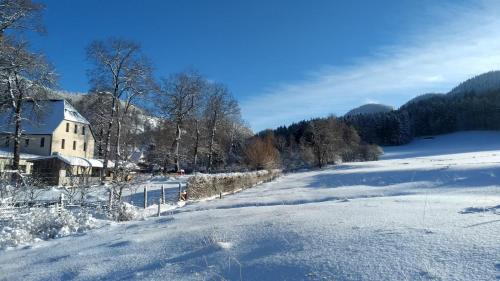 Sokołowsko Resort | Ośrodek Wypoczynkowy Radosno