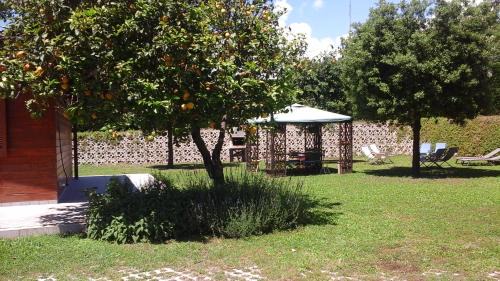 Pozzuoli Bed & Breakfast | 'O Chalet