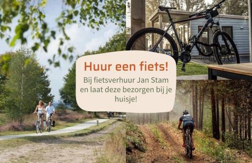 Municipality of Rijssen-Holten Resort | Oak Lodge I 4 p.