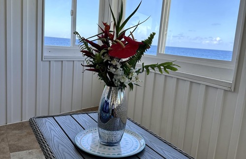 Keaau House | Ocean front~Pool,AC,Views,Spacious! Fall into whale season special 395 per night