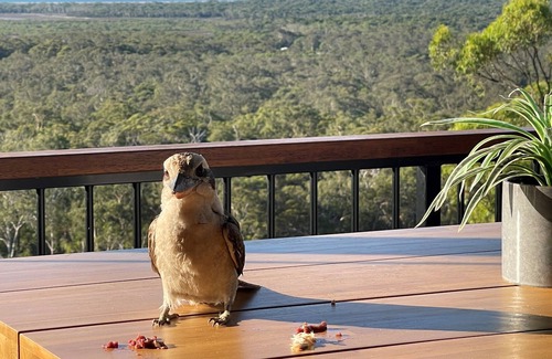 Agnes Water House | OCEAN's HINTERLAND - Pure luxury with Spectacular views, close to shops