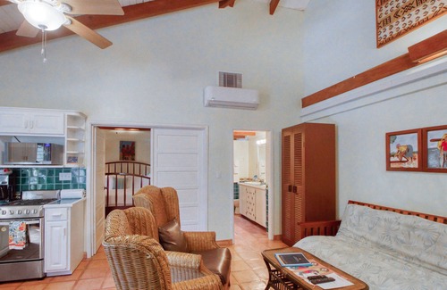Placencia Condo | Ocean view condo with shared pool, WiFi, & central AC - steps to beach