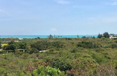 The Bight Condo | OCEAN VIEW FULL KITCHEN 1 Bedroom Suite