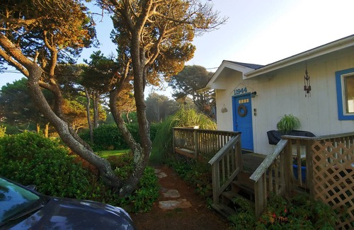 Seal Rock House | Oceanfront Cottage with Deck and Ocean Views, Dogs Ok, Perfect Couples Retreat