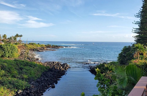 Poipu Apartment | OCEANFRONT Poipu Studio-Honeymoon,AC,View Turtles from Lanai,Free Access to Gym
