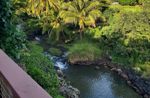 Poipu Apartment | OCEANFRONT Poipu Studio-Honeymoon,AC,View Turtles from Lanai,Free Access to Gym