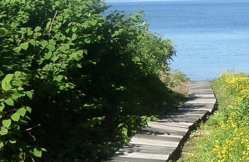 Glen Cove House | Oceanfront Private Ocean Access to a small sandy beach Unobstructed Water Views
