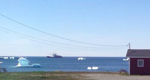 Bonavista Ski Chalet | Oceanside Cabins