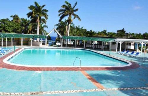 Montego Bay Apartment | Oceanview 1-Bed Apt w Pool Bar & Beach Access