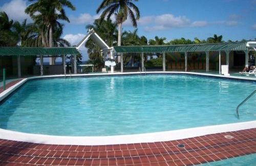 Montego Bay Apartment | Oceanview 1-Bed Apt w Pool Bar & Beach Access