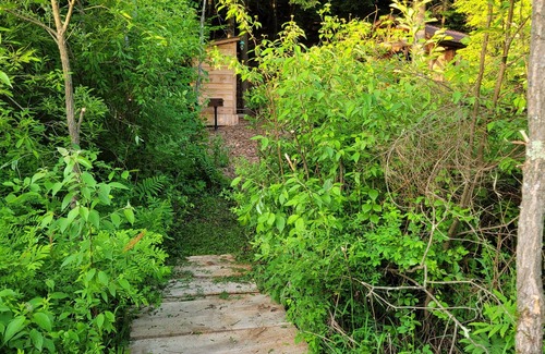Rome Cabin | Off Grid Cabin nestled in the woods next to a stream at the base of Tug Hill
