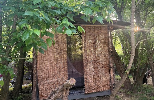 Greeneville House | Off-grid creekside treehouse w/fire-pit, hammock