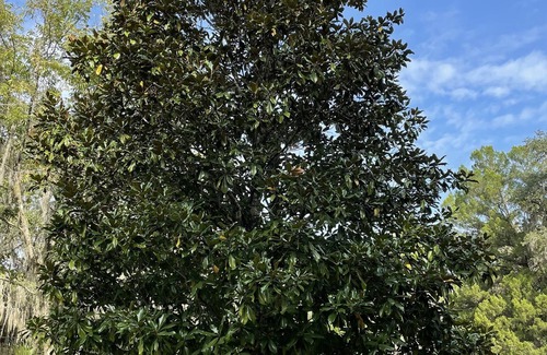 Fort McCoy Cottage | Off the Beaten Trail…..Yet a Prime Location