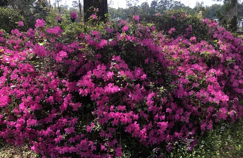 Fort McCoy Cottage | Off the Beaten Trail…..Yet a Prime Location